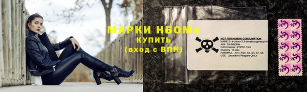 Альфа ПВП Гусев