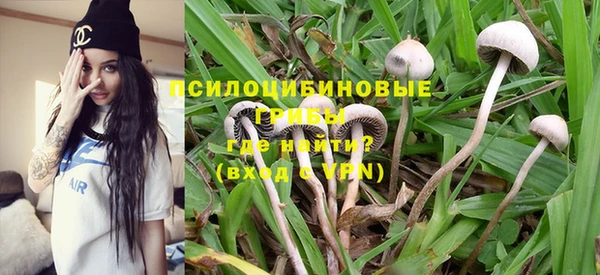 Альфа ПВП Гусев