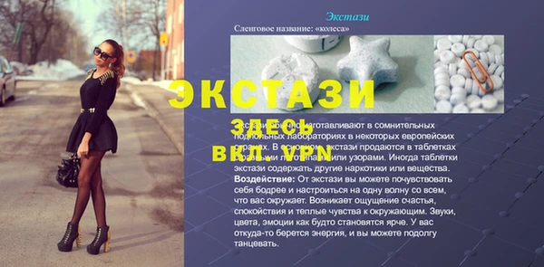 стаф Дмитровск