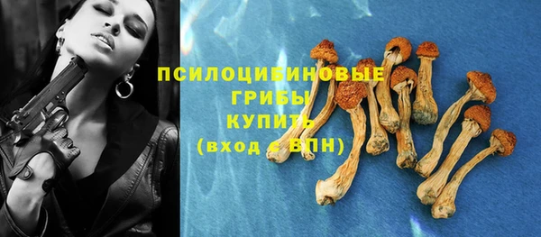марки lsd Гусь-Хрустальный