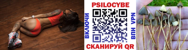 что такое наркотик  Братск  Псилоцибиновые грибы мицелий 